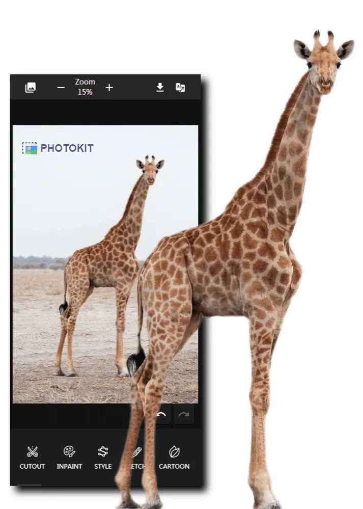 Photo Editor: Free Photo Editing Online