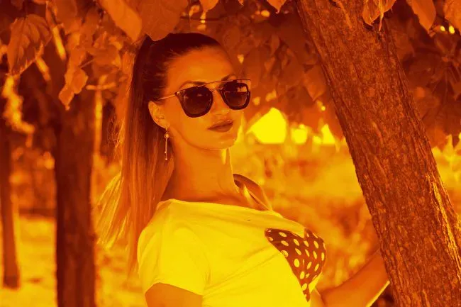 gold-sunset